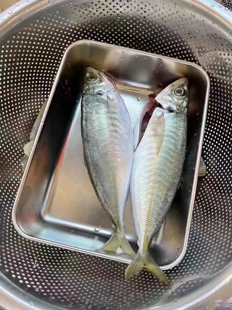 巴浪鱼的做法大全(巴浪鱼的做法大全图片)-第2张图片-窝头美食网 巴浪鱼的做法大全(巴浪鱼的做法大全图片)-第2张图片-窝头美食网