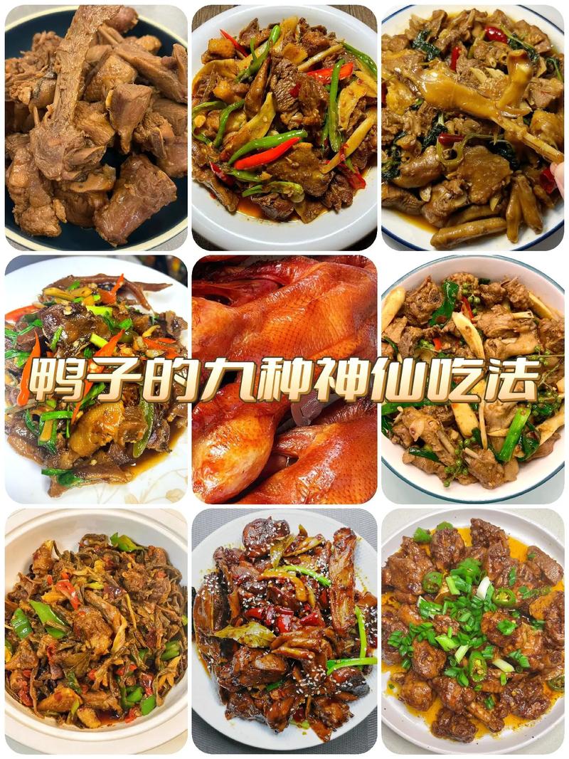 子鸭的做法大全家常(子鸭的做法大全窍门窍门)-第3张图片-窝头美食网 子鸭的做法大全家常(子鸭的做法大全窍门窍门)-第3张图片-窝头美食网