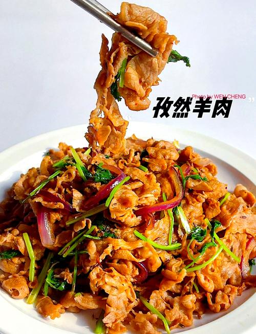 孜然羊肉片做法(孜然羊肉片的做法 家常)-第3张图片-窝头美食网 孜然羊肉片做法(孜然羊肉片的做法 家常)-第3张图片-窝头美食网