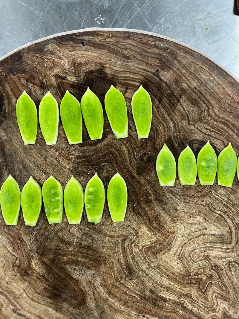 荷花的做法(荷花的做法 手工)-第7张图片-窝头美食网 荷花的做法(荷花的做法 手工)-第7张图片-窝头美食网
