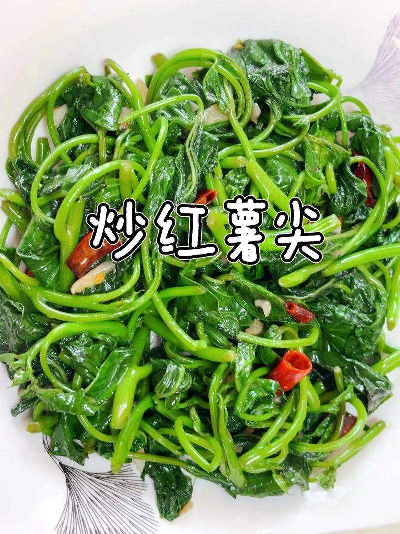 红薯尖的做法大全家常(红薯尖的功效与作用百科)-第4张图片-窝头美食网 红薯尖的做法大全家常(红薯尖的功效与作用百科)-第4张图片-窝头美食网