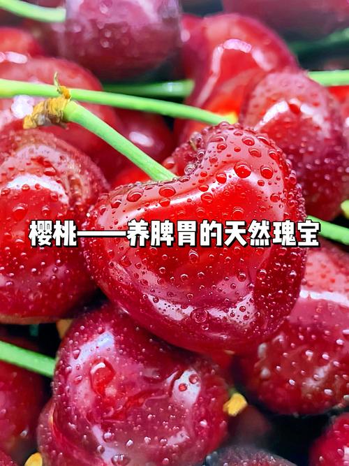 樱桃的做法(蜜汁樱桃的做法)-第3张图片-窝头美食网 樱桃的做法(蜜汁樱桃的做法)-第3张图片-窝头美食网