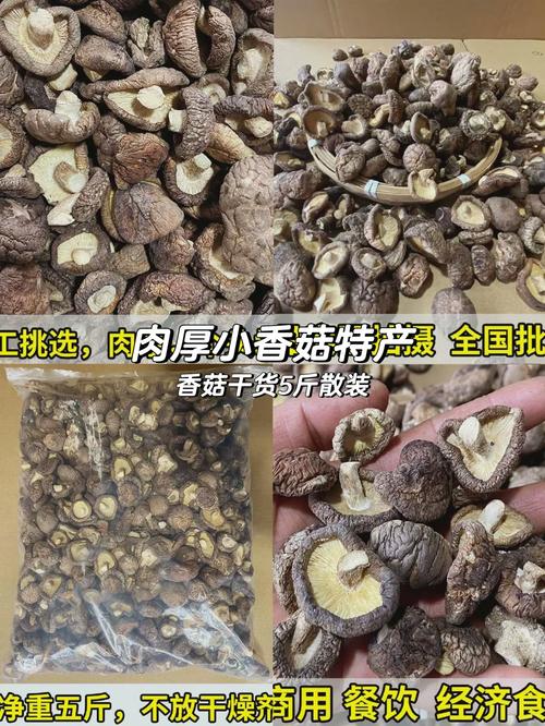 香菇根做法大全家常做法(香菇根的做法大全窍门)-第3张图片-窝头美食网 香菇根做法大全家常做法(香菇根的做法大全窍门)-第3张图片-窝头美食网
