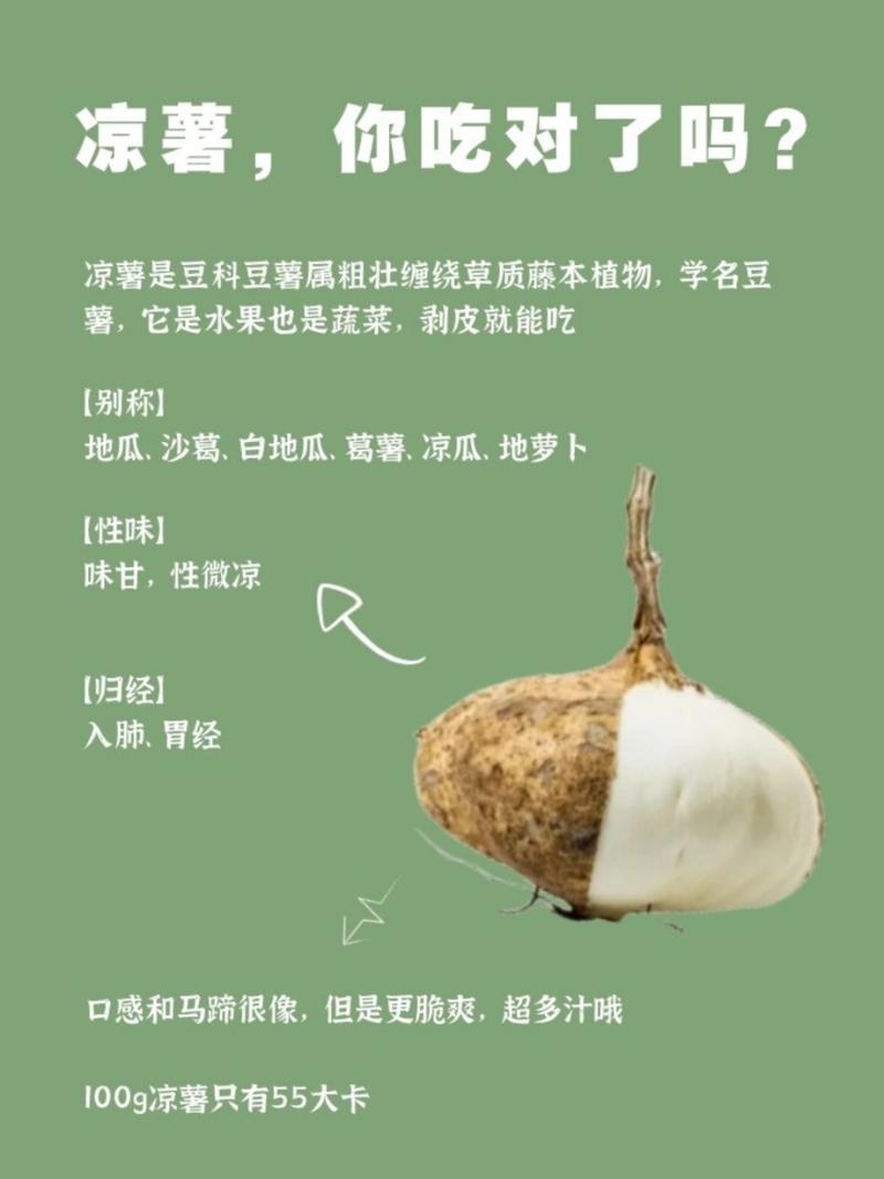 凉薯怎么做好吃家常菜(凉薯的吃法和做法)-第5张图片-窝头美食网 凉薯怎么做好吃家常菜(凉薯的吃法和做法)-第5张图片-窝头美食网
