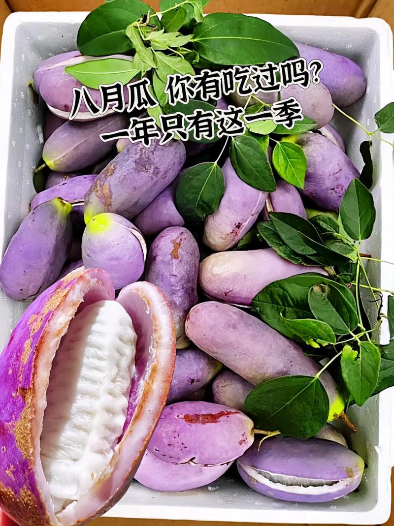 八月瓜做法(八月瓜怎么做菜)-第1张图片-窝头美食网 八月瓜做法(八月瓜怎么做菜)-第1张图片-窝头美食网