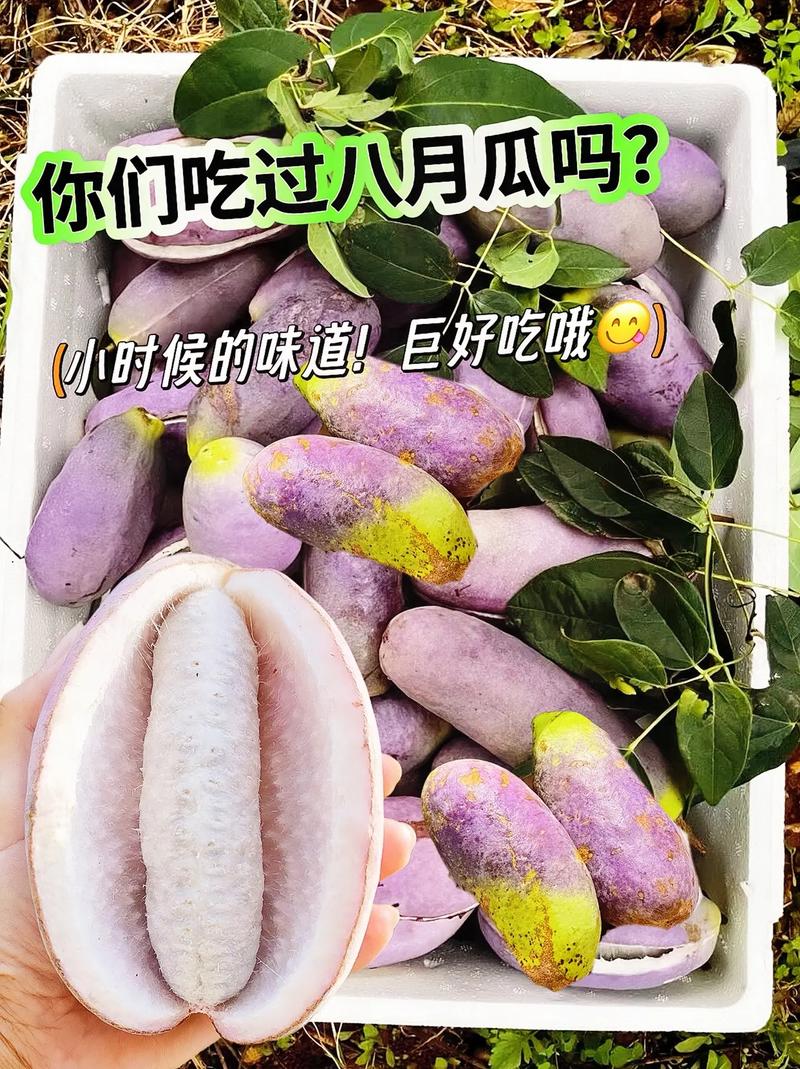 八月瓜做法(八月瓜怎么做菜)-第2张图片-窝头美食网 八月瓜做法(八月瓜怎么做菜)-第2张图片-窝头美食网