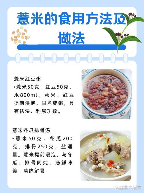 红豆薏米的做法(红豆薏米的做法与功效)-第2张图片-窝头美食网 红豆薏米的做法(红豆薏米的做法与功效)-第2张图片-窝头美食网