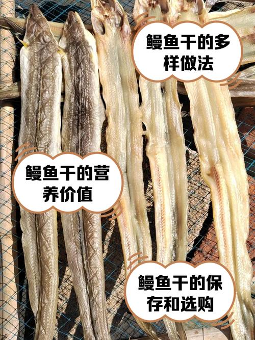 干鳗鱼的做法大全(干鳗鱼的做法大全家常视频)-第5张图片-窝头美食网 干鳗鱼的做法大全(干鳗鱼的做法大全家常视频)-第5张图片-窝头美食网