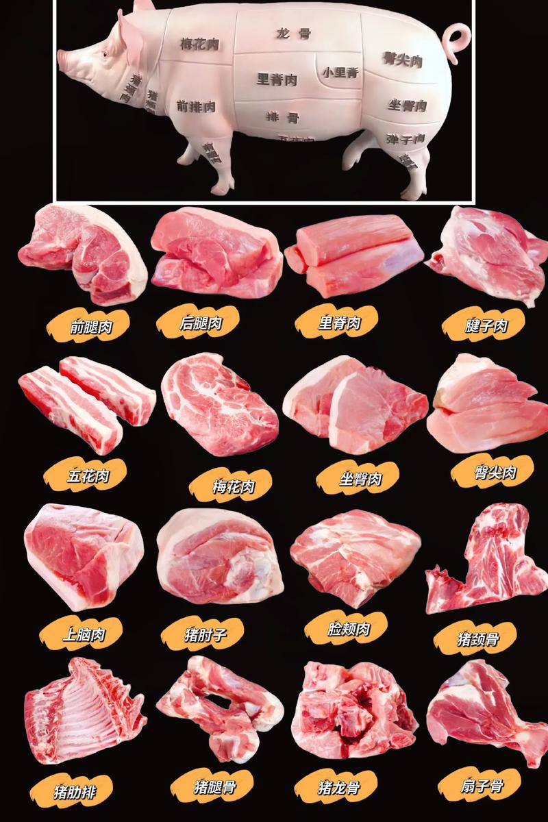 猪的哪个部位比较好吃(猪那个部位的肉好)-第2张图片-窝头美食网 猪的哪个部位比较好吃(猪那个部位的肉好)-第2张图片-窝头美食网