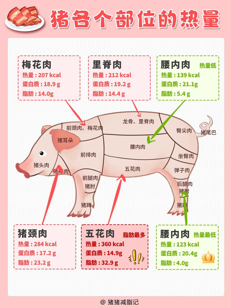 猪的哪个部位比较好吃(猪那个部位的肉好)-第4张图片-窝头美食网 猪的哪个部位比较好吃(猪那个部位的肉好)-第4张图片-窝头美食网