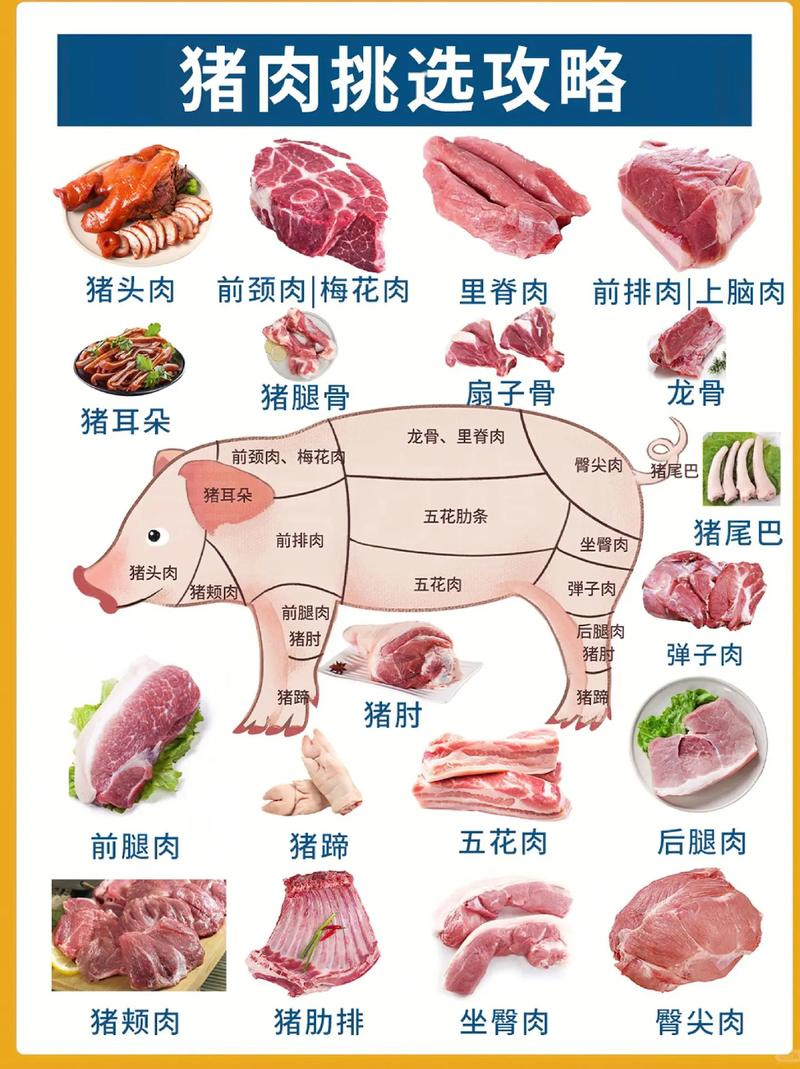 猪的哪个部位比较好吃(猪那个部位的肉好)-第5张图片-窝头美食网 猪的哪个部位比较好吃(猪那个部位的肉好)-第5张图片-窝头美食网