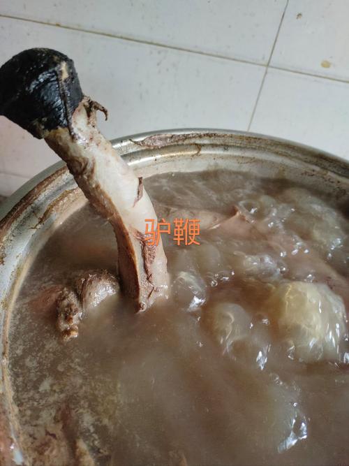 驴鞭做法(驴鞭做法和驴蛋的做法)-第7张图片-窝头美食网 驴鞭做法(驴鞭做法和驴蛋的做法)-第7张图片-窝头美食网