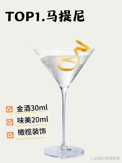 马提尼鸡尾酒做法(马提尼 调酒)-第3张图片-窝头美食网 马提尼鸡尾酒做法(马提尼 调酒)-第3张图片-窝头美食网