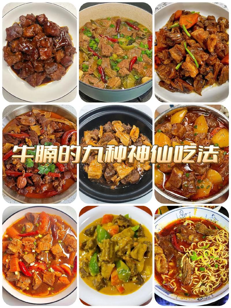 麻辣牛腩的做法(麻辣牛楠的作法)-第3张图片-窝头美食网 麻辣牛腩的做法(麻辣牛楠的作法)-第3张图片-窝头美食网