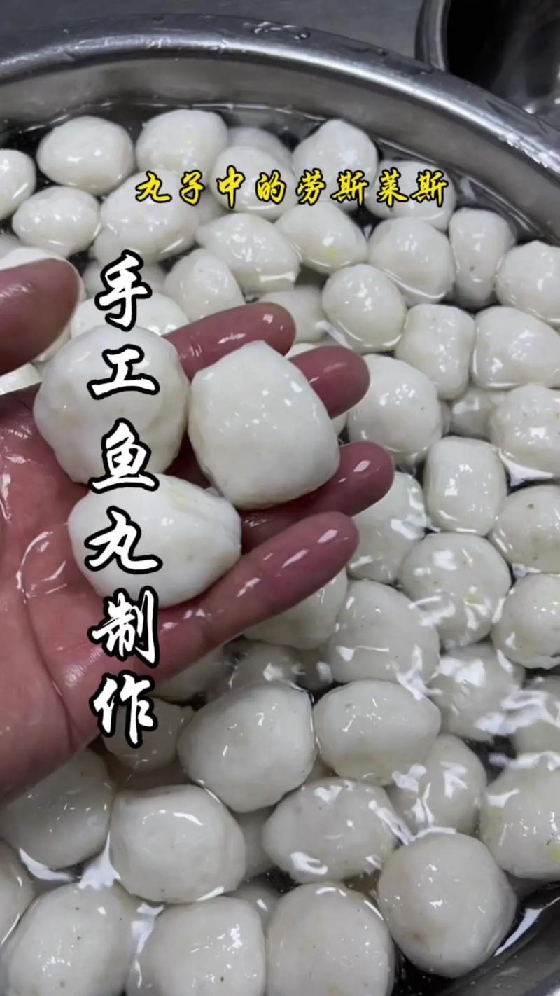 墨鱼丸家常菜做法大全(墨鱼丸家常菜做法大全窍门)-第1张图片-窝头美食网 墨鱼丸家常菜做法大全(墨鱼丸家常菜做法大全窍门)-第1张图片-窝头美食网