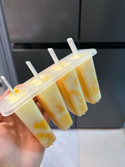 自制冰棍简易做法(自制冰棍简易做法图片)-第3张图片-窝头美食网 自制冰棍简易做法(自制冰棍简易做法图片)-第3张图片-窝头美食网