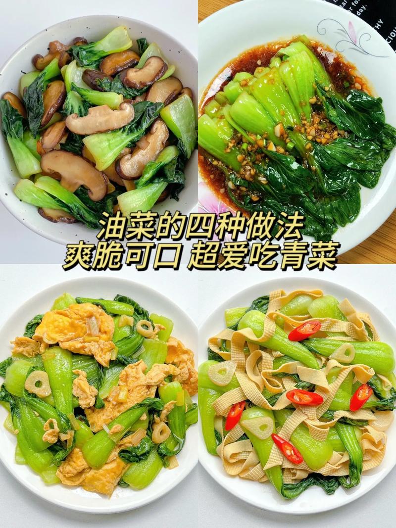 小油菜家常做法(油菜家常做法简单好吃)-第1张图片-窝头美食网 小油菜家常做法(油菜家常做法简单好吃)-第1张图片-窝头美食网