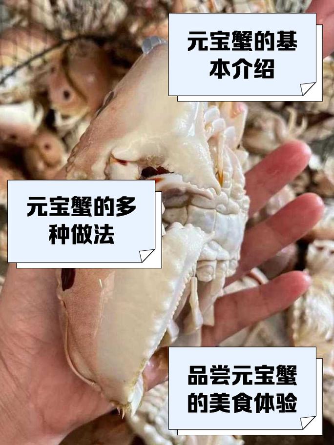 元宝蟹钳做法大全(元宝蟹钳图片)-第7张图片-窝头美食网 元宝蟹钳做法大全(元宝蟹钳图片)-第7张图片-窝头美食网