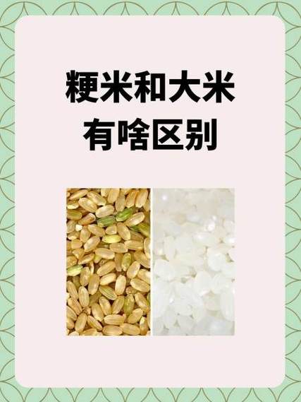 粳米好吃还是大米好吃(粳米比大米好吃吗)-第3张图片-窝头美食网 粳米好吃还是大米好吃(粳米比大米好吃吗)-第3张图片-窝头美食网