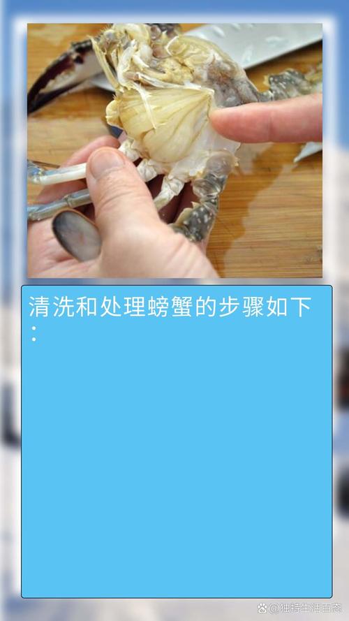 海蟹的家常做法(海蟹的家常做法视频)-第3张图片-窝头美食网 海蟹的家常做法(海蟹的家常做法视频)-第3张图片-窝头美食网