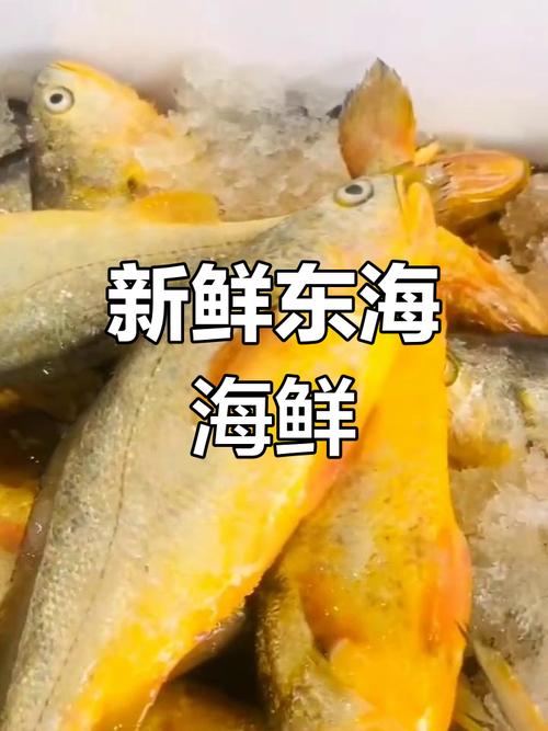 黄花鱼好吃吗(黄花鱼怎么清蒸才好吃)-第1张图片-窝头美食网 黄花鱼好吃吗(黄花鱼怎么清蒸才好吃)-第1张图片-窝头美食网