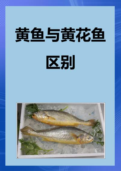 黄花鱼好吃吗(黄花鱼怎么清蒸才好吃)-第2张图片-窝头美食网 黄花鱼好吃吗(黄花鱼怎么清蒸才好吃)-第2张图片-窝头美食网