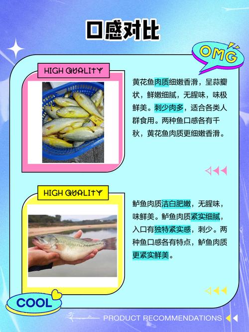 黄花鱼好吃吗(黄花鱼怎么清蒸才好吃)-第4张图片-窝头美食网 黄花鱼好吃吗(黄花鱼怎么清蒸才好吃)-第4张图片-窝头美食网