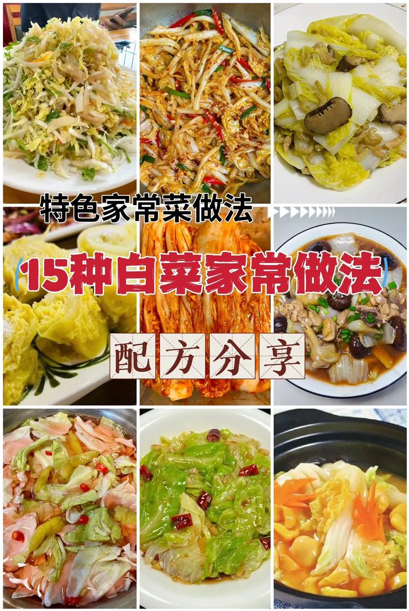 只有白菜怎么做好吃(只有白菜可以做什么好吃的菜)-第1张图片-窝头美食网 只有白菜怎么做好吃(只有白菜可以做什么好吃的菜)-第1张图片-窝头美食网
