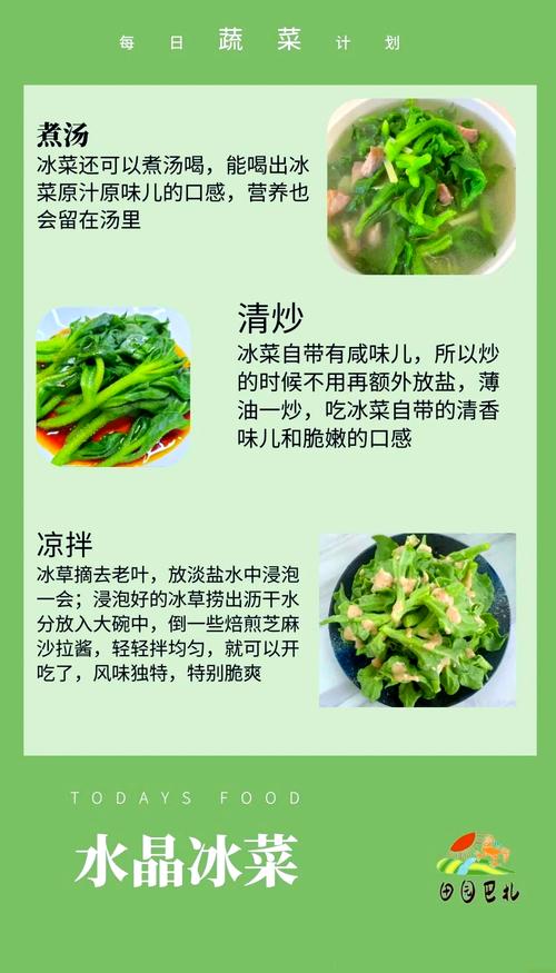 凉拌冰菜的做法(凉拌冰菜的做法要焯水吗)-第2张图片-窝头美食网 凉拌冰菜的做法(凉拌冰菜的做法要焯水吗)-第2张图片-窝头美食网