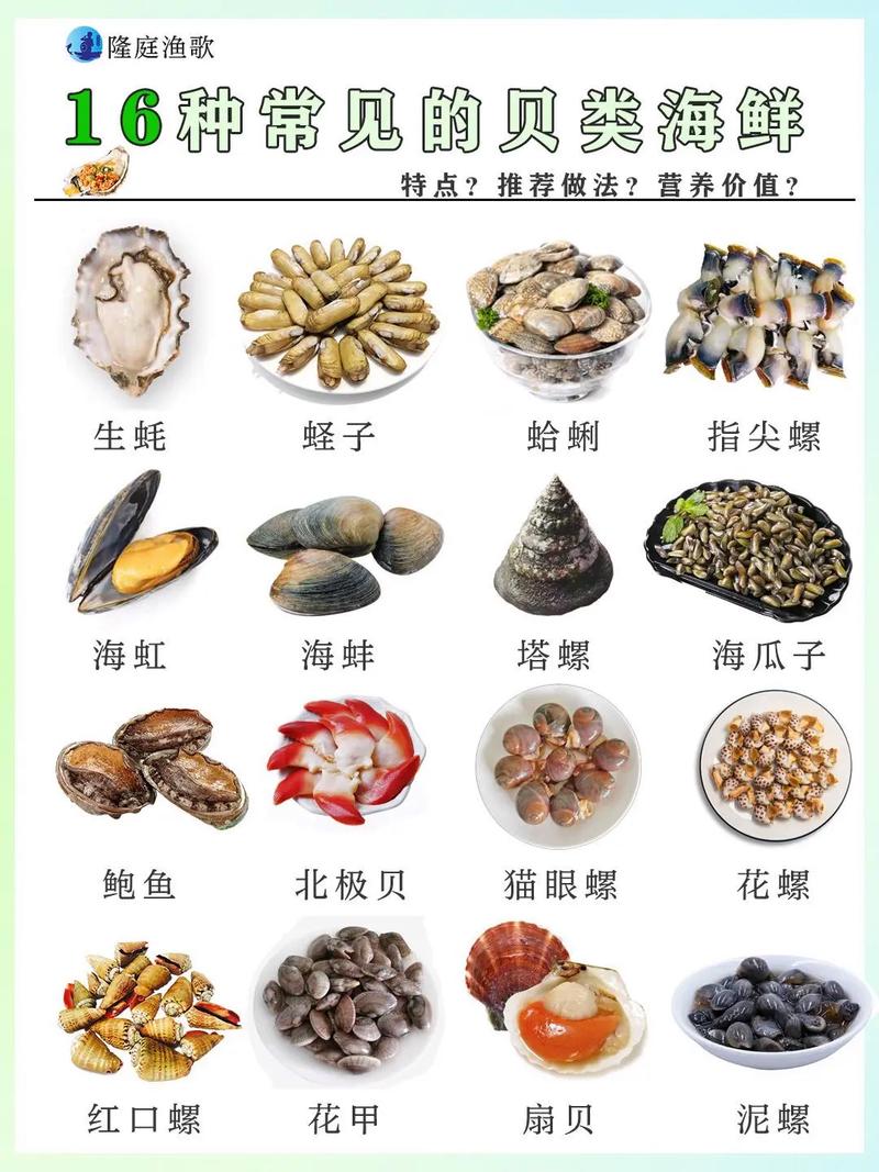 什么贝类好吃(什么贝类最鲜)-第7张图片-窝头美食网 什么贝类好吃(什么贝类最鲜)-第7张图片-窝头美食网