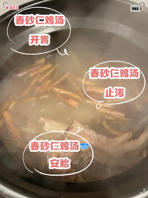 砂仁鸡汤做法大全（砂仁鸡汤的做法）-第4张图片-窝头美食网