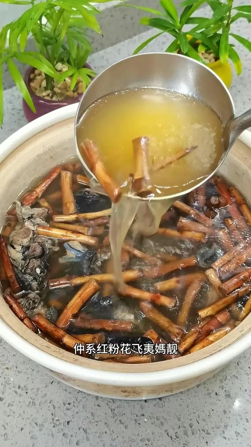 砂仁鸡汤做法大全（砂仁鸡汤的做法）-第5张图片-窝头美食网