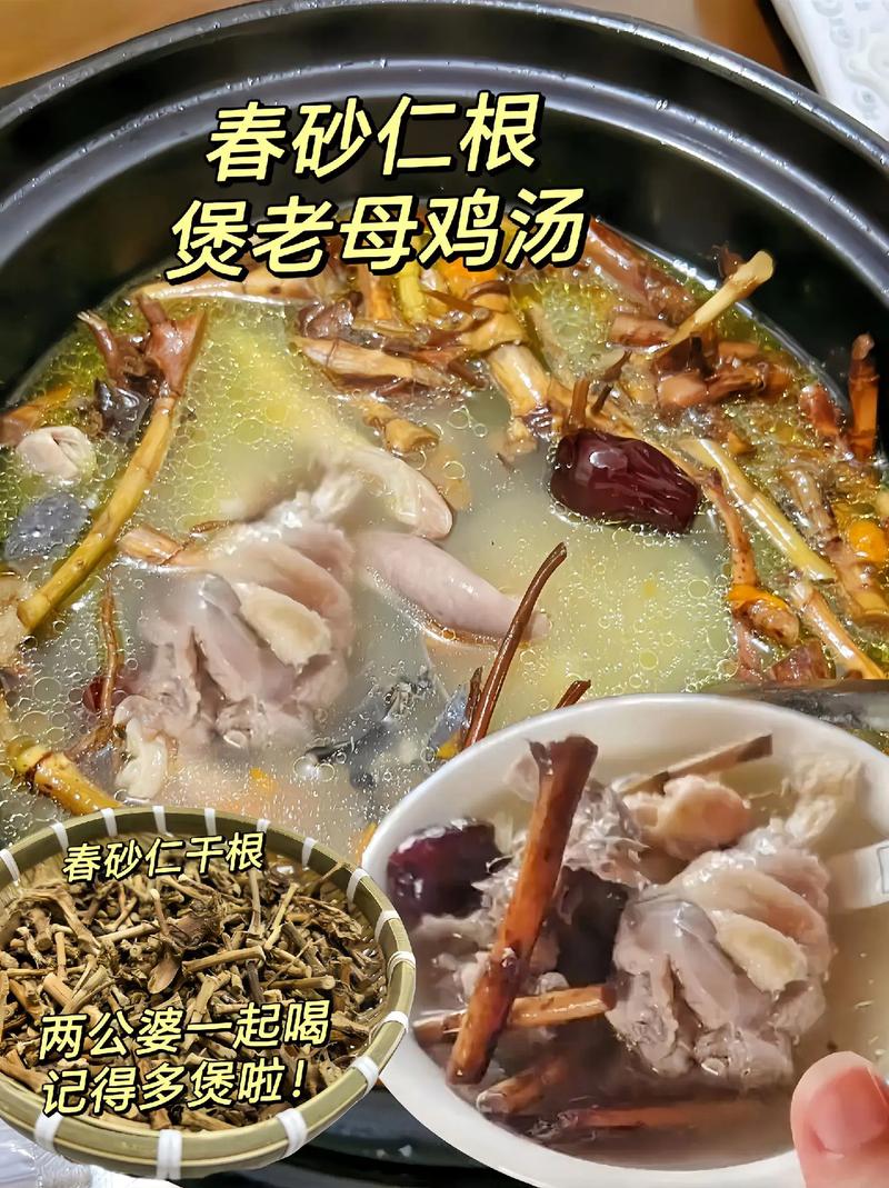 砂仁鸡汤做法大全（砂仁鸡汤的做法）-第6张图片-窝头美食网