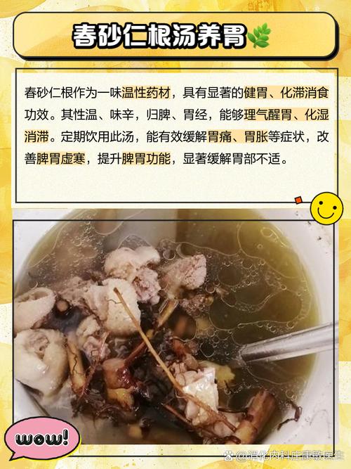 砂仁鸡汤做法大全（砂仁鸡汤的做法）-第7张图片-窝头美食网