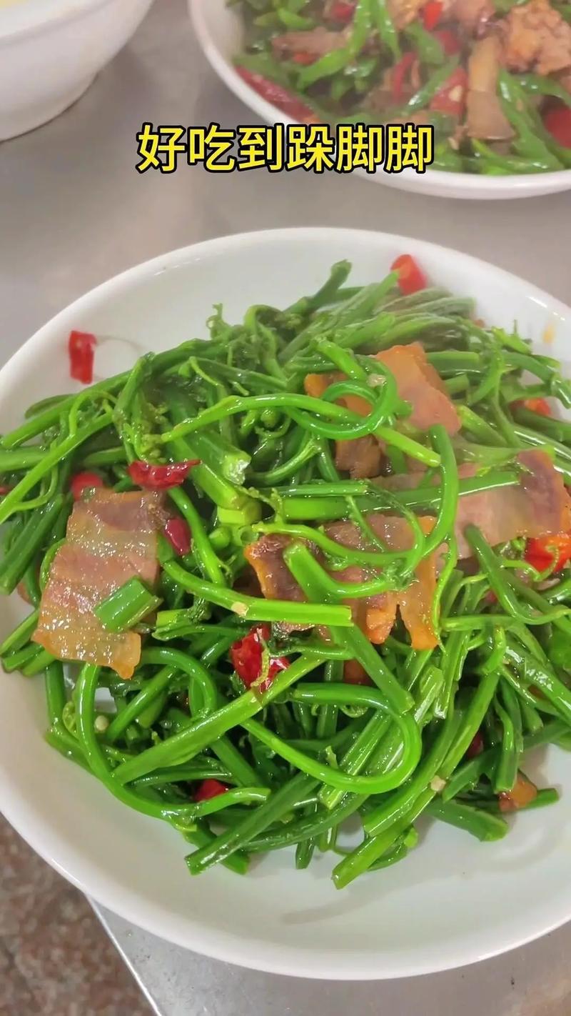水蕨菜怎么做好吃(水蕨菜的功效与作用)-第1张图片-窝头美食网 水蕨菜怎么做好吃(水蕨菜的功效与作用)-第1张图片-窝头美食网