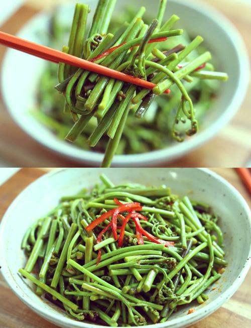 水蕨菜怎么做好吃(水蕨菜的功效与作用)-第6张图片-窝头美食网 水蕨菜怎么做好吃(水蕨菜的功效与作用)-第6张图片-窝头美食网