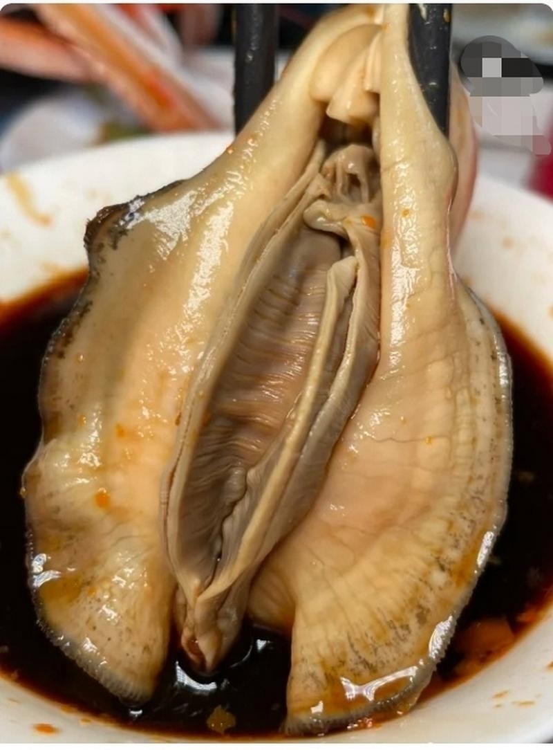 鲍鱼不好吃(鲍鱼好吃的做法)-第4张图片-窝头美食网 鲍鱼不好吃(鲍鱼好吃的做法)-第4张图片-窝头美食网
