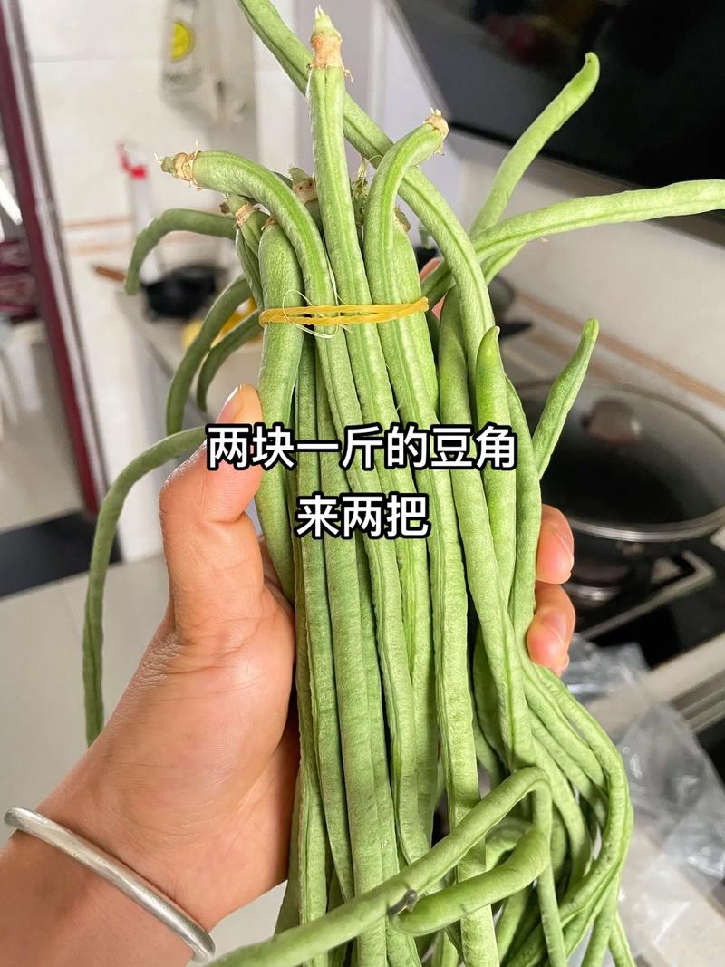 泡酸辣豆角的做法大全(泡酸辣豆角的做法大全视频)-第1张图片-窝头美食网 泡酸辣豆角的做法大全(泡酸辣豆角的做法大全视频)-第1张图片-窝头美食网