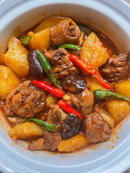 土豆炖鸡怎么做好吃（土豆炖鸡怎么做好吃窍门）-第4张图片-窝头美食网