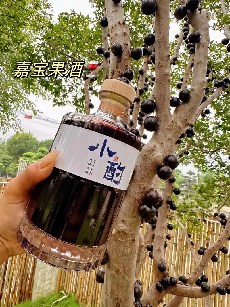 葡萄泡酒的做法(怎样用葡萄泡葡萄酒)-第2张图片-窝头美食网 葡萄泡酒的做法(怎样用葡萄泡葡萄酒)-第2张图片-窝头美食网