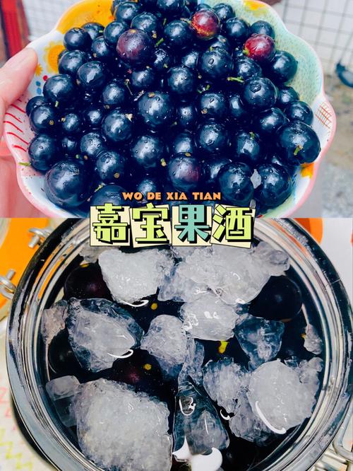 葡萄泡酒的做法(怎样用葡萄泡葡萄酒)-第3张图片-窝头美食网 葡萄泡酒的做法(怎样用葡萄泡葡萄酒)-第3张图片-窝头美食网