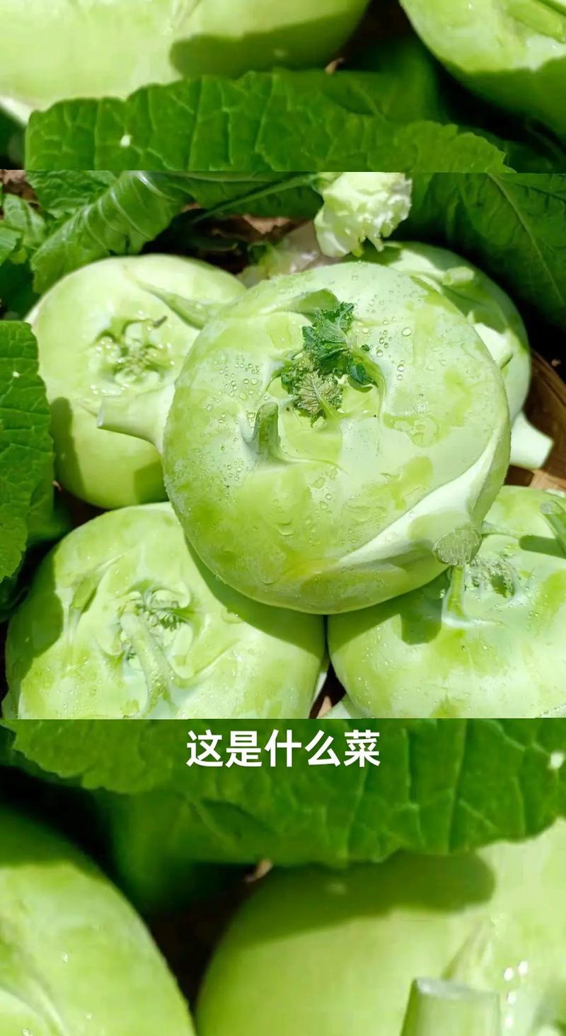 撇了菜的做法大全(撇了菜又叫什么)-第5张图片-窝头美食网 撇了菜的做法大全(撇了菜又叫什么)-第5张图片-窝头美食网
