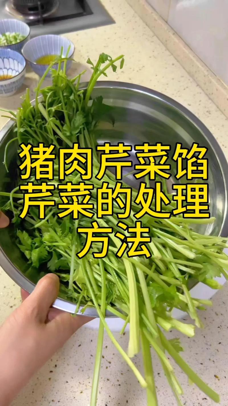 芹菜饺子好吃吗(芹菜饺子的口感)-第2张图片-窝头美食网 芹菜饺子好吃吗(芹菜饺子的口感)-第2张图片-窝头美食网