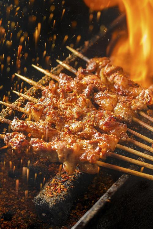 猪肉烧烤做法大全(猪肉烧烤的做法)-第4张图片-窝头美食网 猪肉烧烤做法大全(猪肉烧烤的做法)-第4张图片-窝头美食网