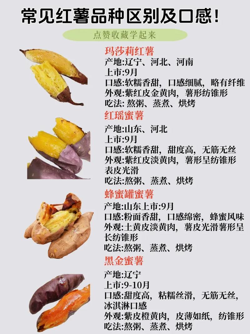 哪种红薯比较好吃(哪种红薯比较好吃最甜)-第5张图片-窝头美食网 哪种红薯比较好吃(哪种红薯比较好吃最甜)-第5张图片-窝头美食网