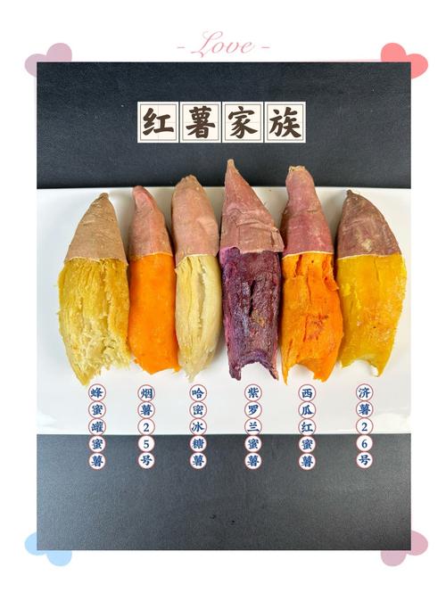 哪种红薯比较好吃(哪种红薯比较好吃最甜)-第6张图片-窝头美食网 哪种红薯比较好吃(哪种红薯比较好吃最甜)-第6张图片-窝头美食网