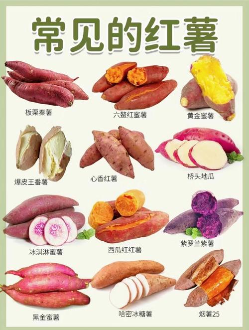哪种红薯比较好吃(哪种红薯比较好吃最甜)-第7张图片-窝头美食网 哪种红薯比较好吃(哪种红薯比较好吃最甜)-第7张图片-窝头美食网
