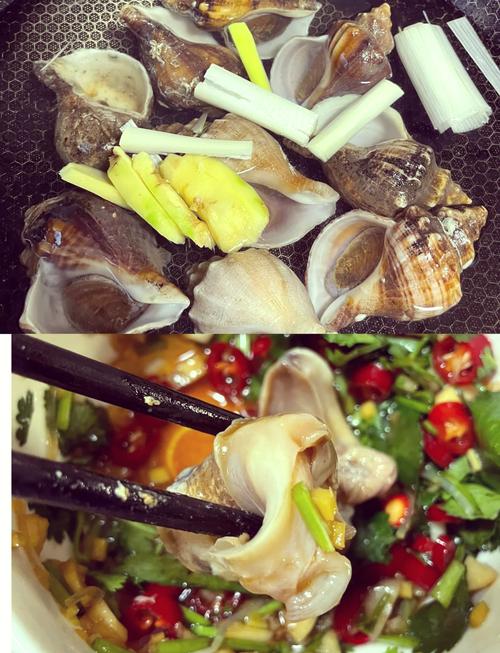 大海螺做法大全家常(大海螺做法大全家常做法视频)-第3张图片-窝头美食网 大海螺做法大全家常(大海螺做法大全家常做法视频)-第3张图片-窝头美食网