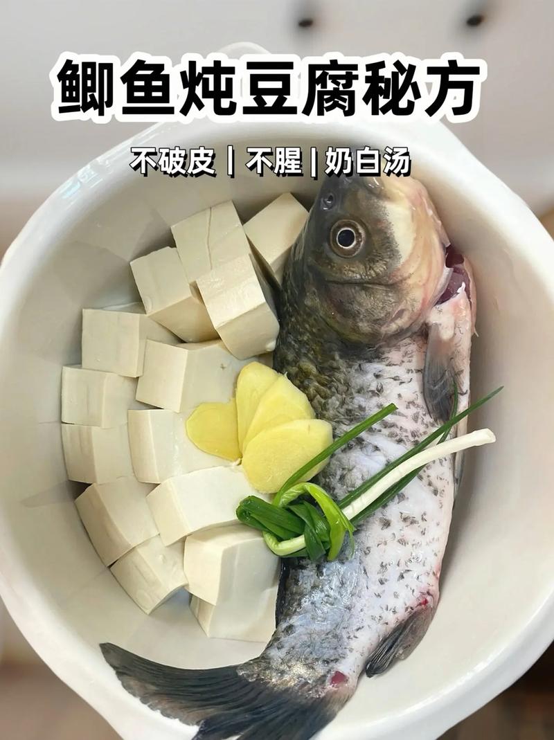 豆腐煮鱼汤的做法大全(豆腐熬鱼汤怎么熬好喝)-第1张图片-窝头美食网 豆腐煮鱼汤的做法大全(豆腐熬鱼汤怎么熬好喝)-第1张图片-窝头美食网