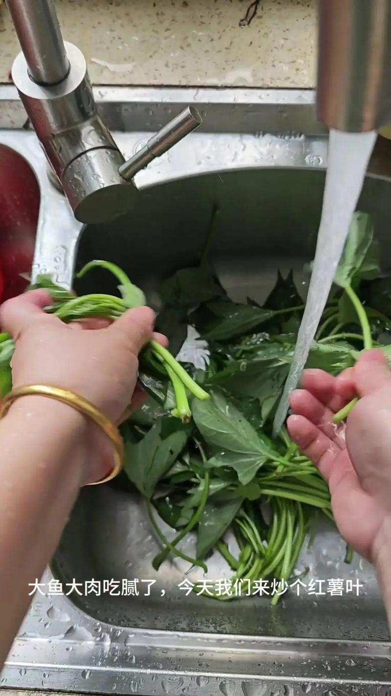 地瓜叶怎么做好吃(地瓜叶怎么做好吃又简单)-第4张图片-窝头美食网 地瓜叶怎么做好吃(地瓜叶怎么做好吃又简单)-第4张图片-窝头美食网